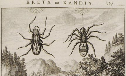  La mostra "Il veleno della devozione" sarà visitabile a Galatina per tutta l'estate