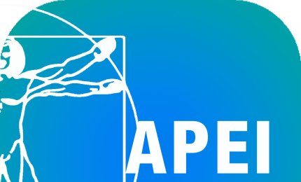 Liceo in quattro anni? Le critiche dei pedagogisti