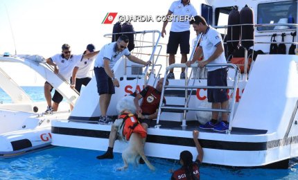 Anche a Gallipoli il soccorso in acqua con i cani