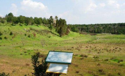 Il successo di uno sportello che racconta Cutrofiano
