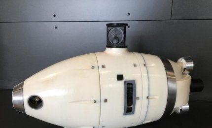 A Venezia arrivano i pesci robot