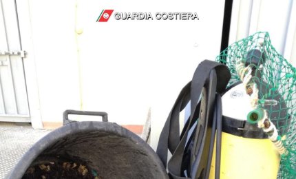 Quattromila euro di multa ad un sub che aveva raccolto 100 ricci