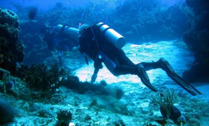 Ad Otranto i campionati italiani di fotografia subacquea