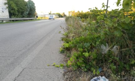 A chi tocca pulire via Sogliano?