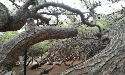 Davanti alla morte, ti invito all'amore