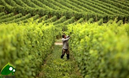 " I pubblicani e le prostitute vi passano avanti"