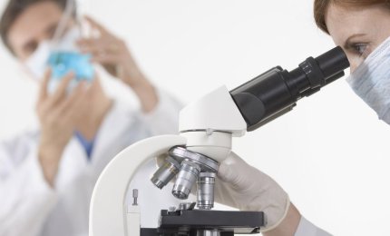 Legge di Bilancio, verso l'assunzione di 1500 ricercatori