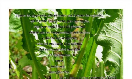 “Dai semi al cibo"