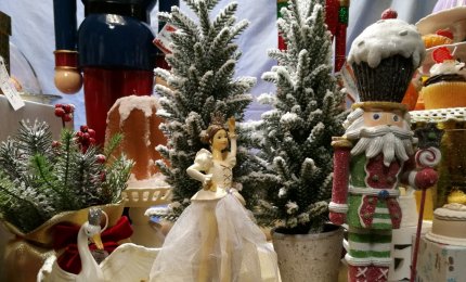 "Lo Schiaccianoci come metafora della vita"