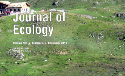 In Valle d'Aosta un pascolo di 5600 anni fa