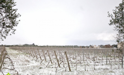 Gelata della Befana, si possono chiedere i contributi