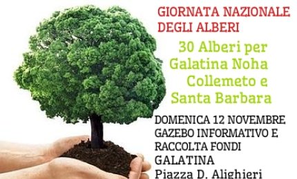 Trenta alberi per Galatina e frazioni