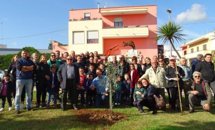 Piantati trenta alberi nel quartiere Giovanni Paolo II