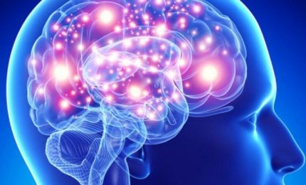 Le reti del nostro cervello