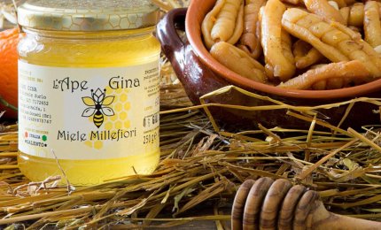 Cala la produzione di miele nel Salento ma migliora la qualità