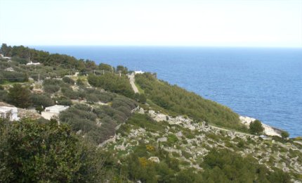 Alla scoperta a piedi della Serra dei Cianci