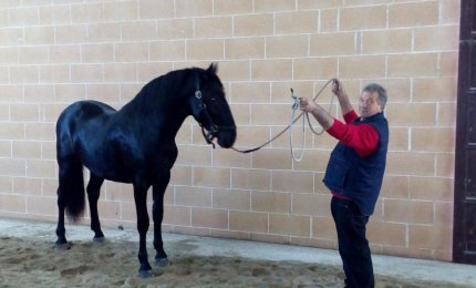 Il campione è 'Libero' 
