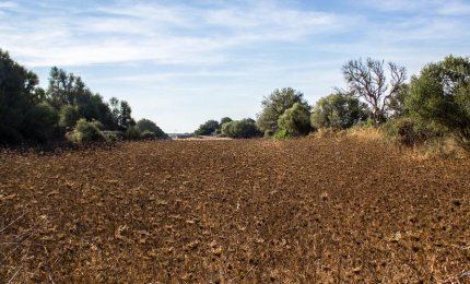 Il 2017 l'anno meno piovoso dal 1800