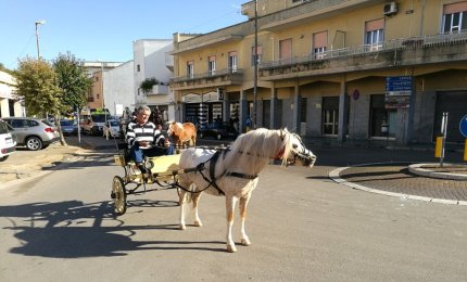 Galatina invasa dai cavalli per la Fiera di Santa Caterina d'Alessandria e la gioia dei bambini