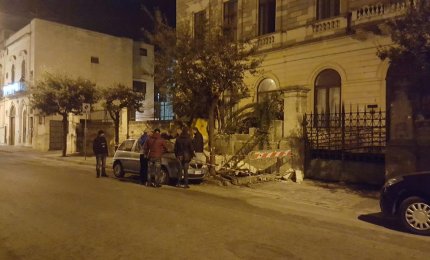 Il vento abbatte una palma in via Montegrappa, danneggiata un'auto