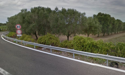 "Poteva essere una strage. La Madonna di Loreto ci ha protetti"