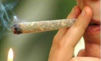 800mila ragazzi utilizzano una sostanza psicoattiva illegale 