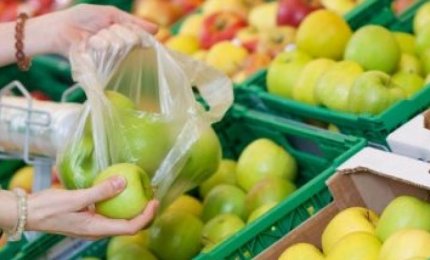 "Sacchetto mio, quanto mi costi?!"