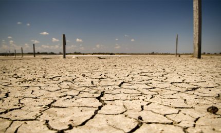Puglia verso la desertificazione