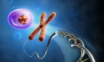 Excavator2, un nuovo algoritmo per scoprire le anomalie del DNA dovute al cancro