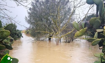 Esondazione del canale Asso, Coldiretti Lecce lancia l'allarme