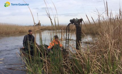 Torre Guaceto si prepara ad accogliere gli uccelli migratori