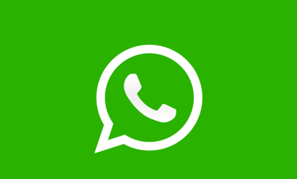 Whatsapp e i cafoni digitali 
