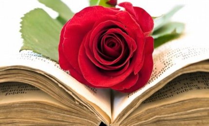 Una rosa per un libro