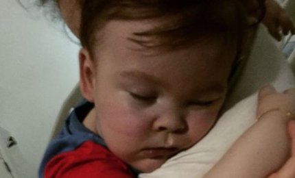 "Per la vita di Alfie"