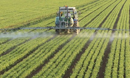 L'Ordine dei Medici chiede un continuo monitoraggio dei prodoti chimici usati in agricoltura