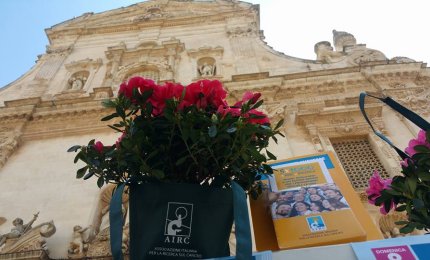 Oggi e domani in piazza l'azalea della ricerca contro il cancro