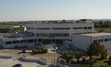 Consegna della Borsa di Studio Fortunato Cesari