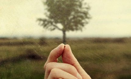 "Come un granellino di senapa"
