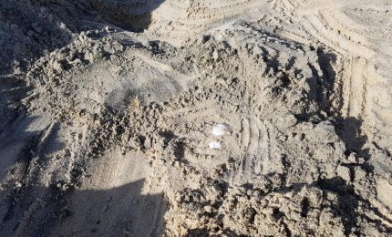 A Torre Chianca fa il nido una Caretta Caretta