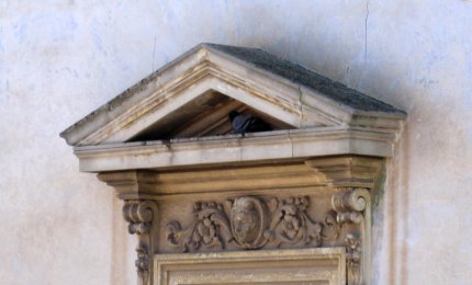 "Nessuno tocchi i piccioni in casa d'altri"