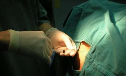  Cellule staminali, anche al Fazzi trapianti da donatori non consanguinei
