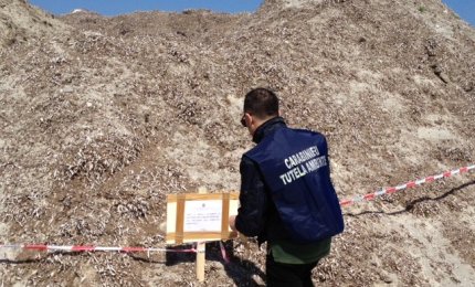Sequestrati 25000 metri cubi di alghe e rifiuti. Si indaga sul comune di Lecce