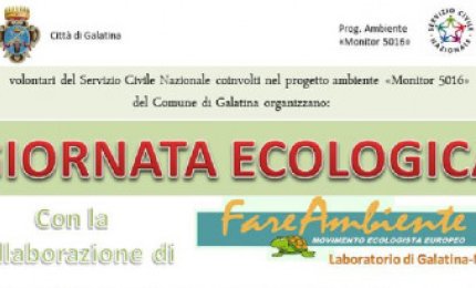 La Giornata ecologica dei volontari di “Monitor 5016”