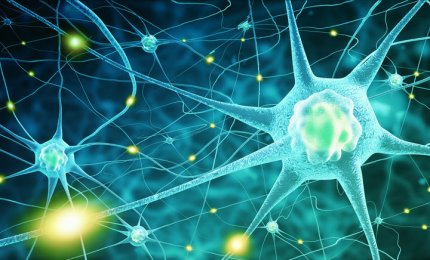 Dalla ricerca Unisalento una nuova tecnica per lo studio delle nanoparticelle metalliche inglobate nelle cellule
