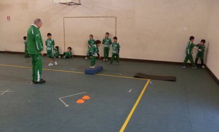 Pallavolo. Tornano in campo i giovanissimi della Showy-Boys