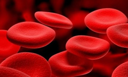 I globuli rossi piccole lenti per scoprire le anemie