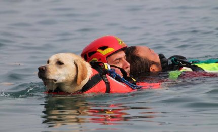 Simulazione di salvataggio in mare con i cani