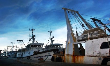 Finito il fermo pesca in Adriatico, torna sui mercati il pesce fresco