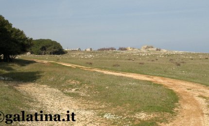Molti lo sgridavano per farlo tacere