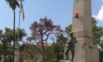 "Salvate quel pino o tagliatelo!"